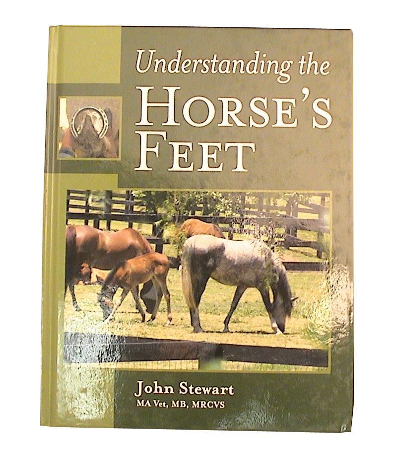 Understanding The Horse's Feet